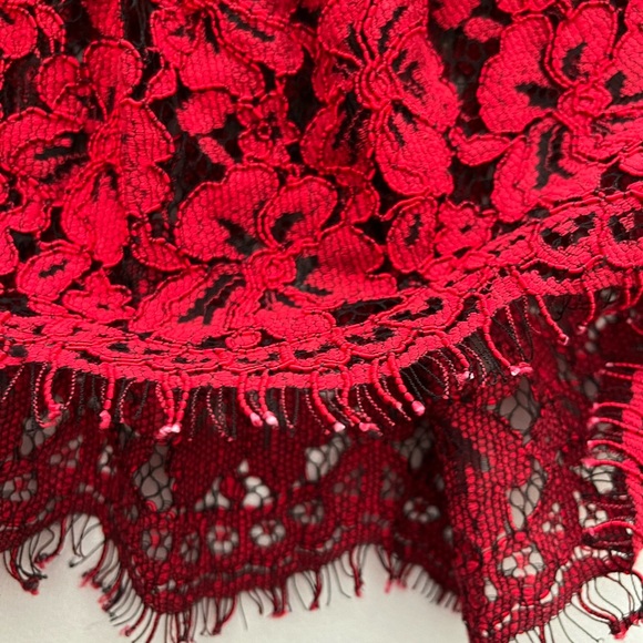 Alexia Admor Red Lace Fitted Dress - Picture 9 of 14